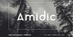 Amidic – Moderne