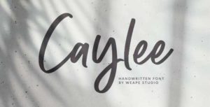 Caylee Script