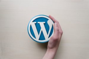 vos besoins en thèmes et plugins WordPress